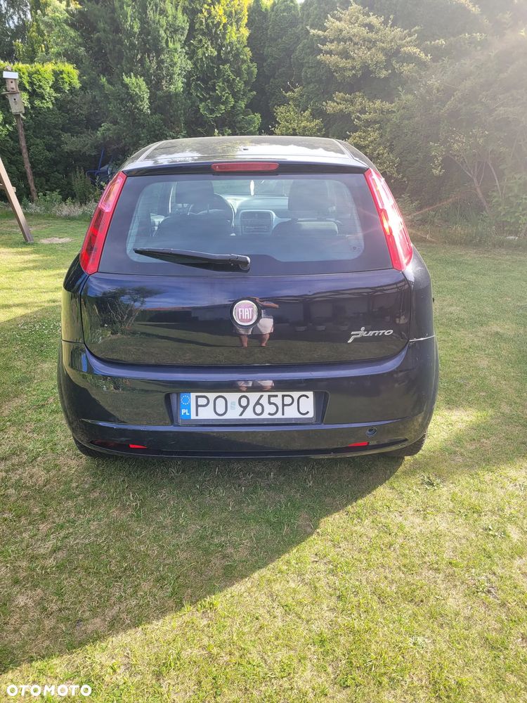 Fiat Punto - 3