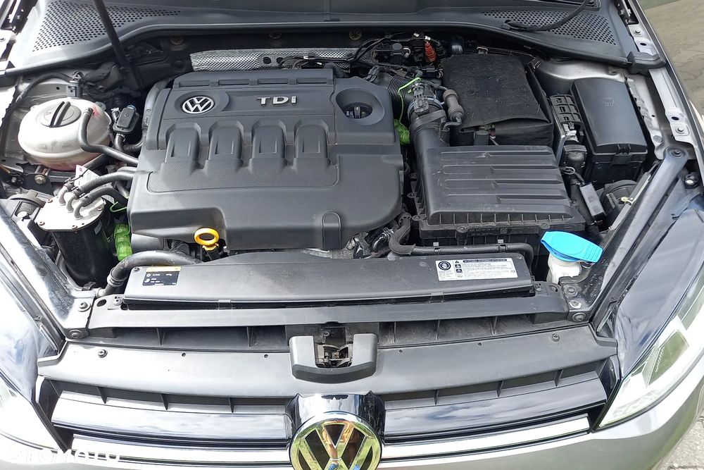 Volkswagen Golf 1.6 TDI BlueMotion Trendline - 20