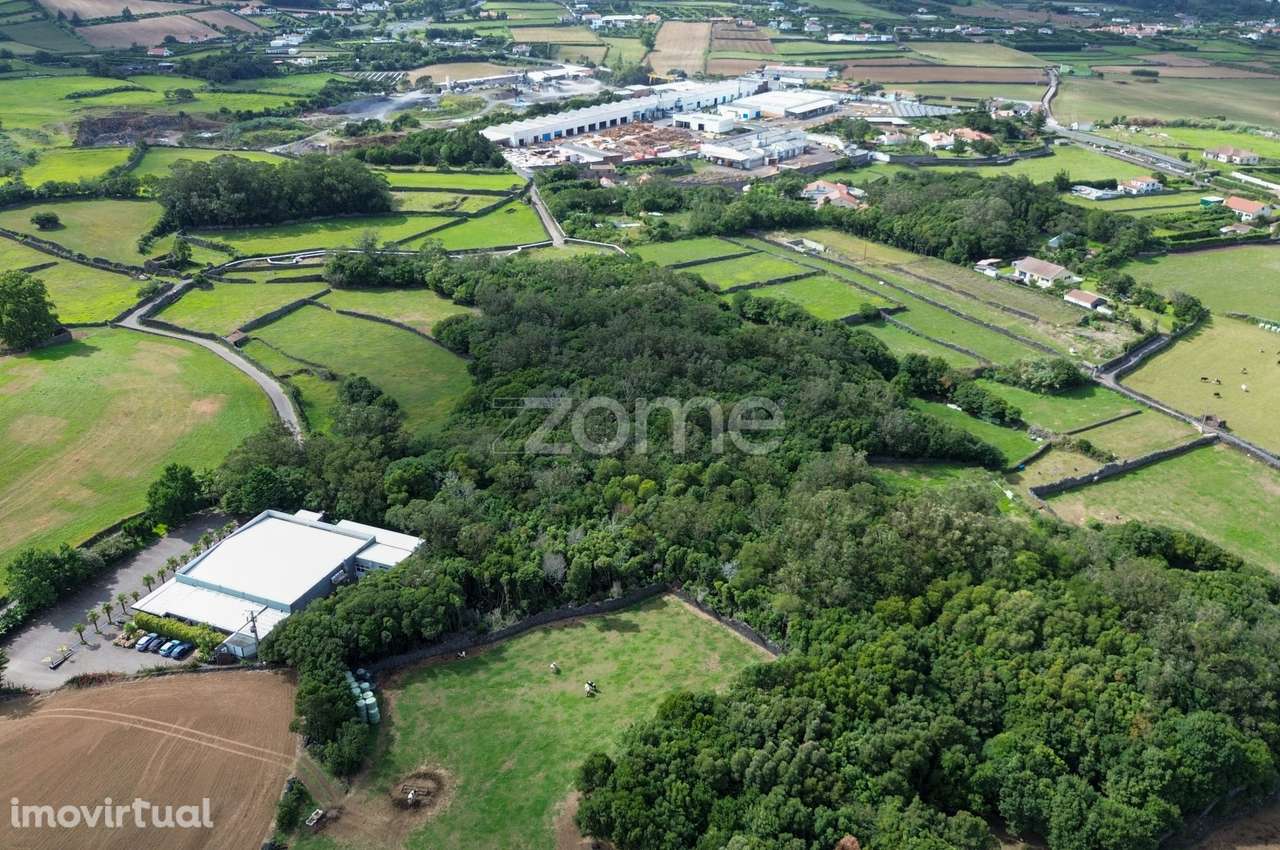 Terreno Urbano 8.360 m² com Vista Mar – Pico do Alho, Ribeira Grand... - Grande imagem: 4/14