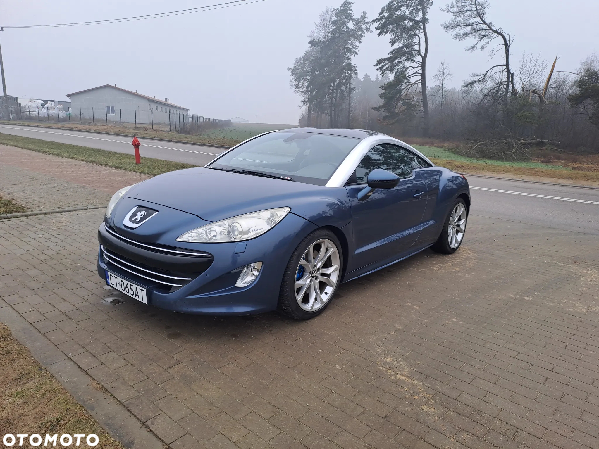 Peugeot RCZ 1.6 THP - 14