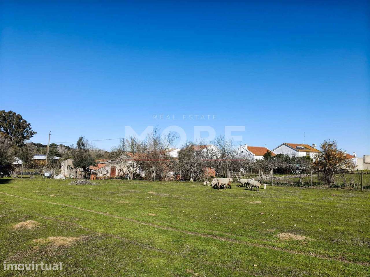 Terreno com 9500 m² – Évora - Grande imagem: 4/26