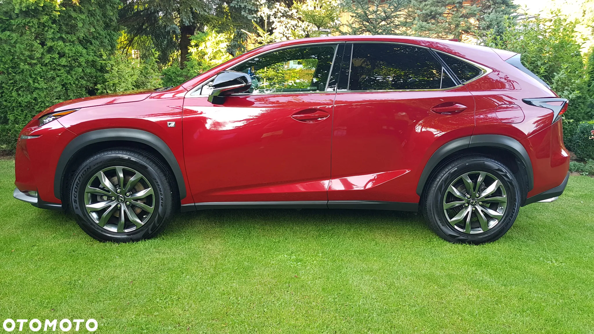 Lexus NX 200t F Sport AWD - 21