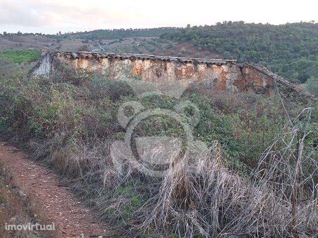 Terreno com Ruína para reconstruir - Grande imagem: 3/11