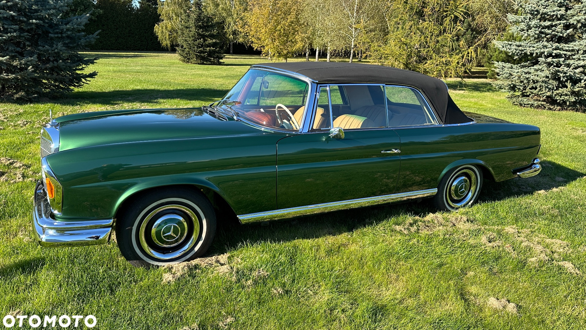 Mercedes-Benz Inny - 21