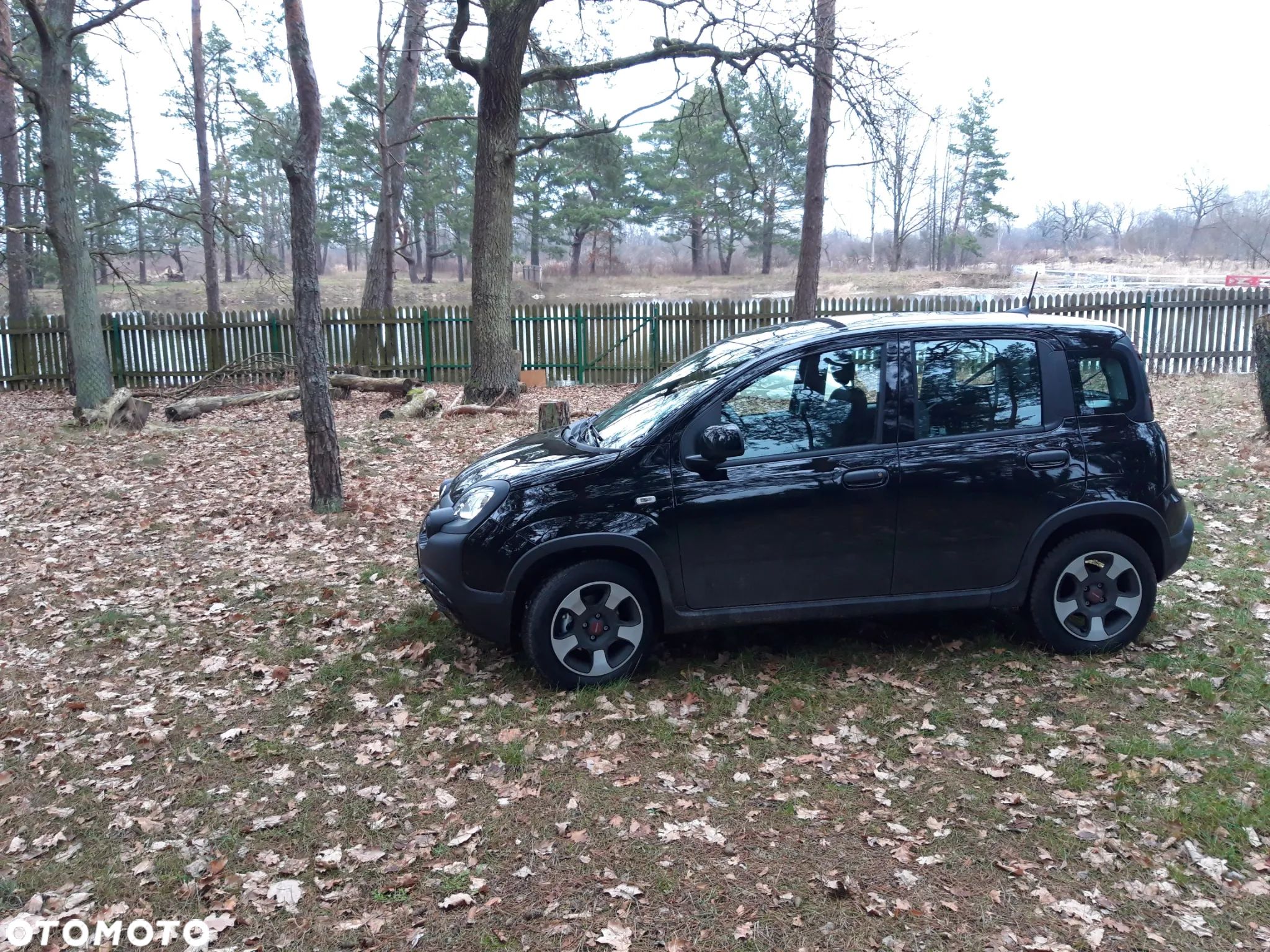 Fiat Panda Van 1.0 GSE Hybrid City Life Business Pro - 1