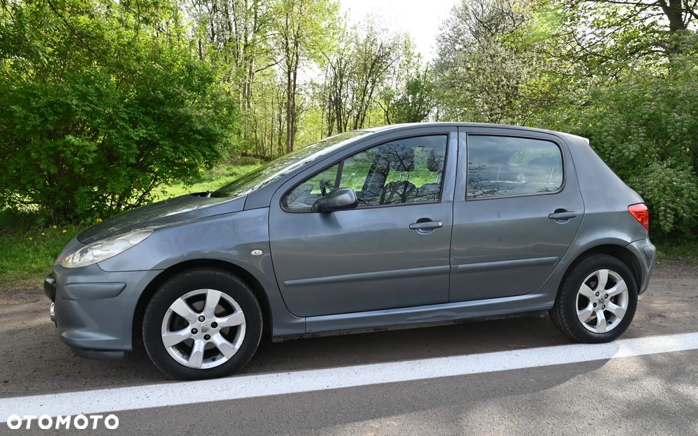 Peugeot 307 - 5