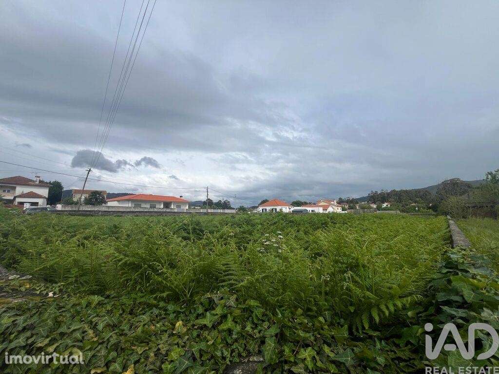 Terreno Agrícola em Barroselas e Carvoeiro - Grande imagem: 4/13