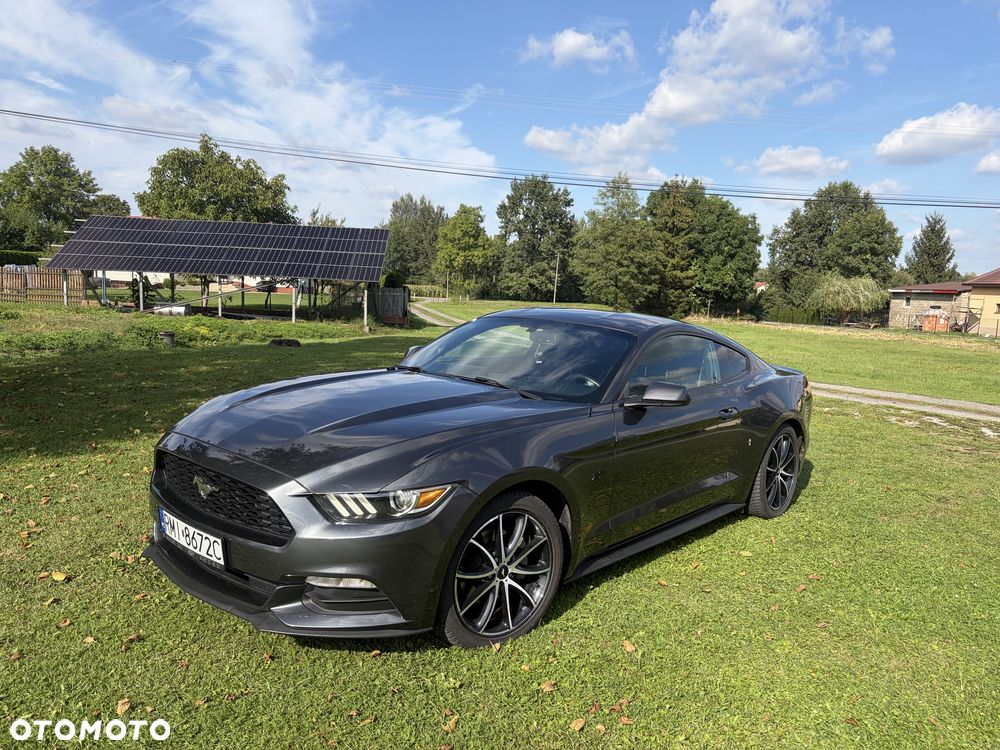 Ford Mustang - 5