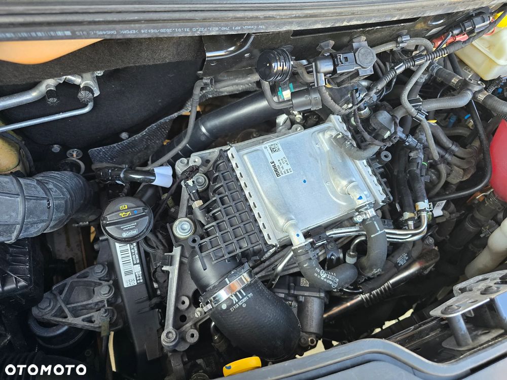 Volkswagen T6.1 - 21