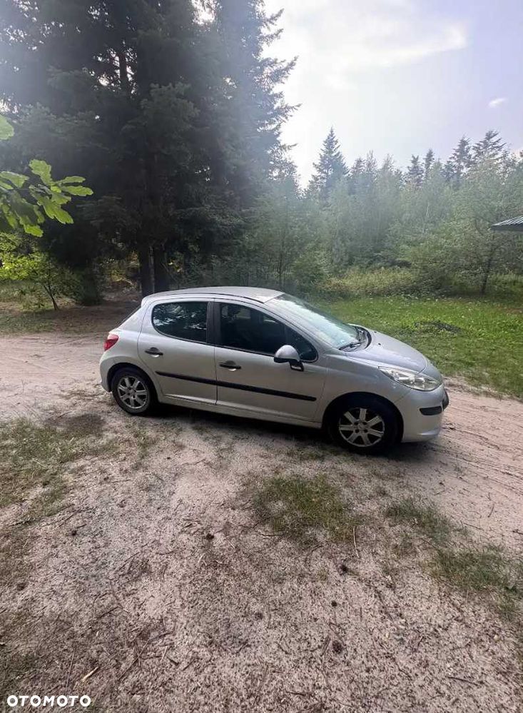 Peugeot 207 - 4