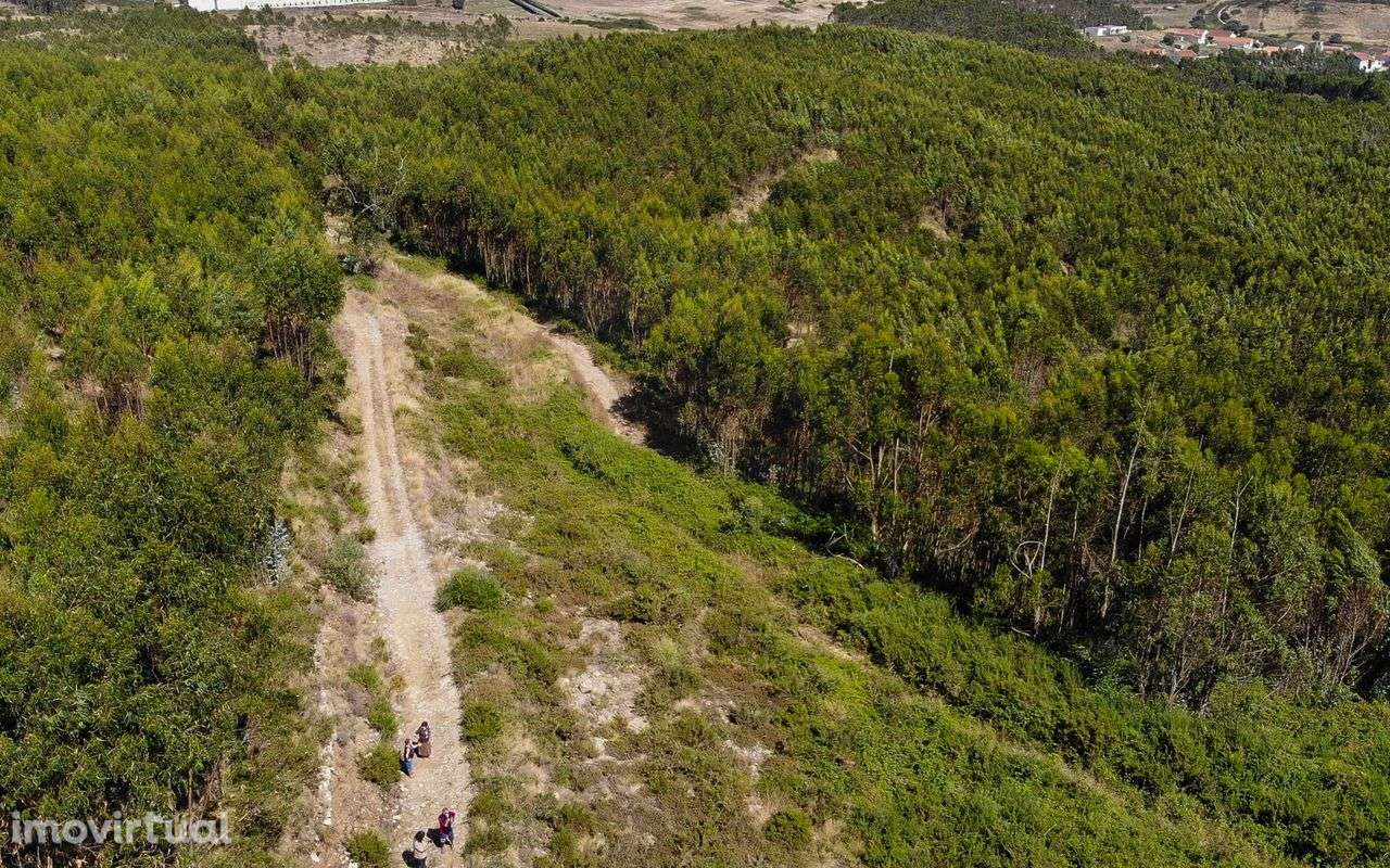 Terreno  para venda - Grande imagem: 5/20