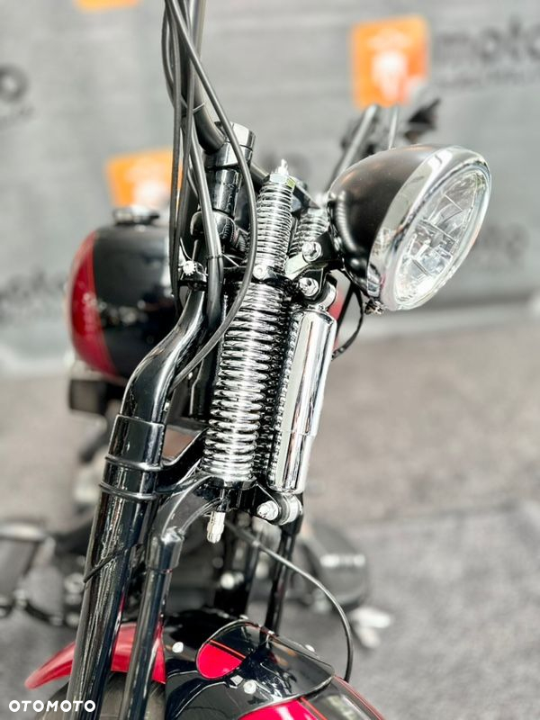 Harley-Davidson Softail Cross Bones - 13