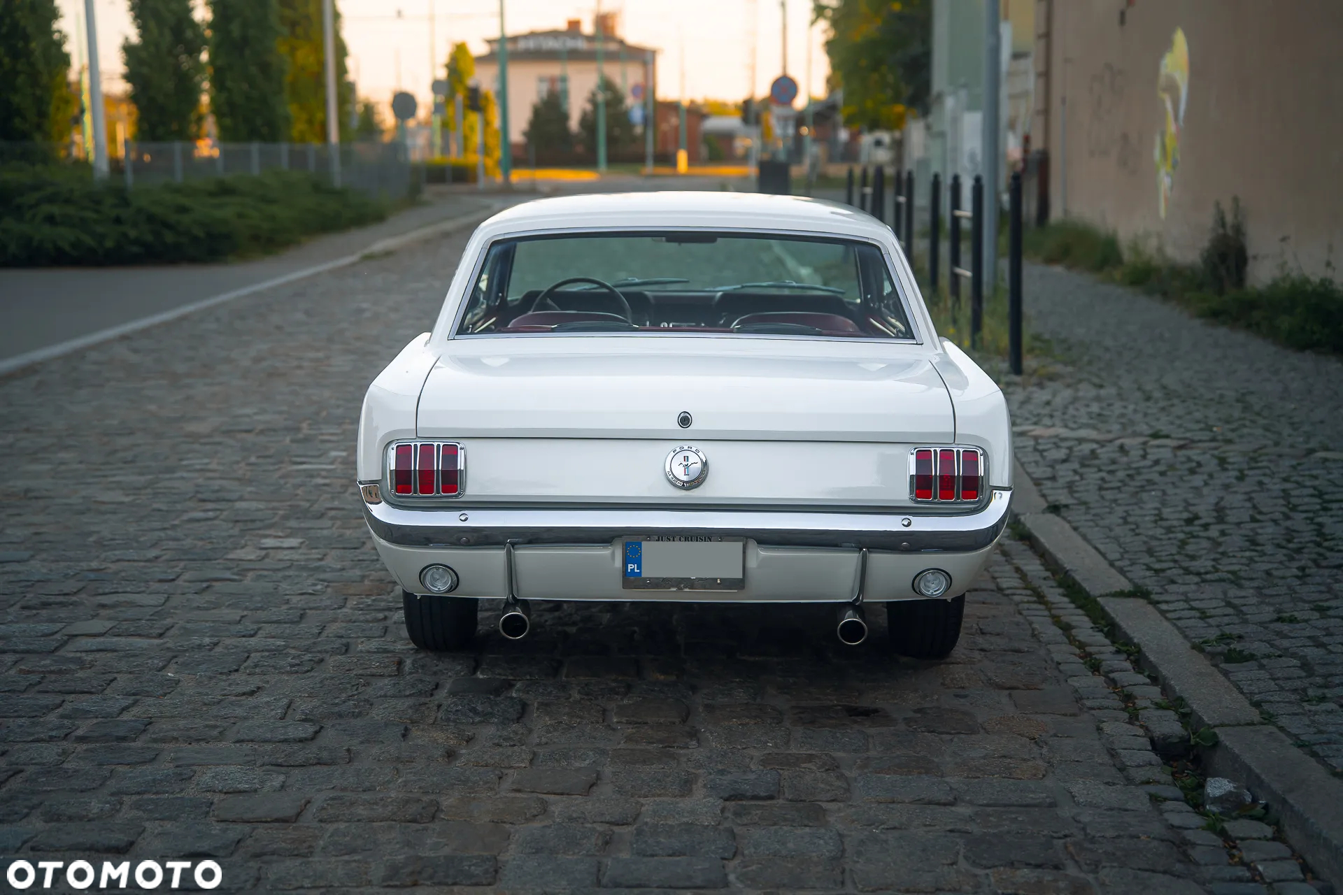 Ford Mustang - 37