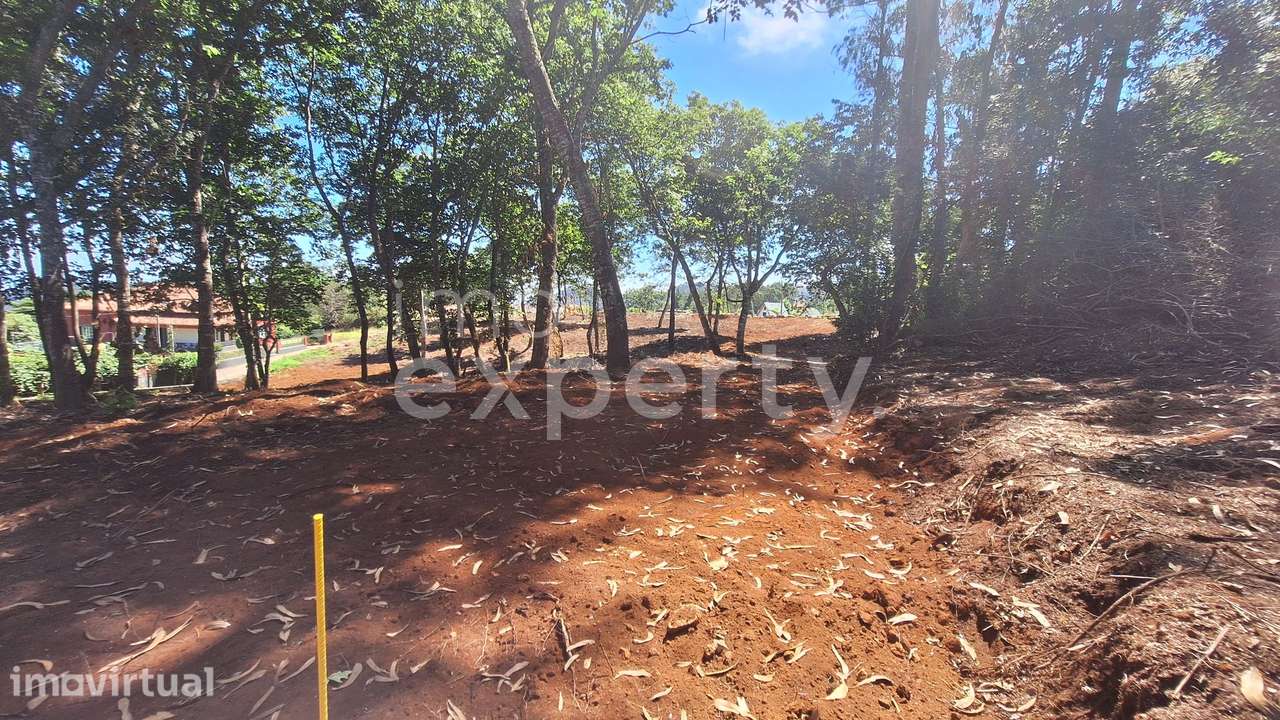 Terreno em Santana com 5090 m², Madeira - Grande imagem: 5/32