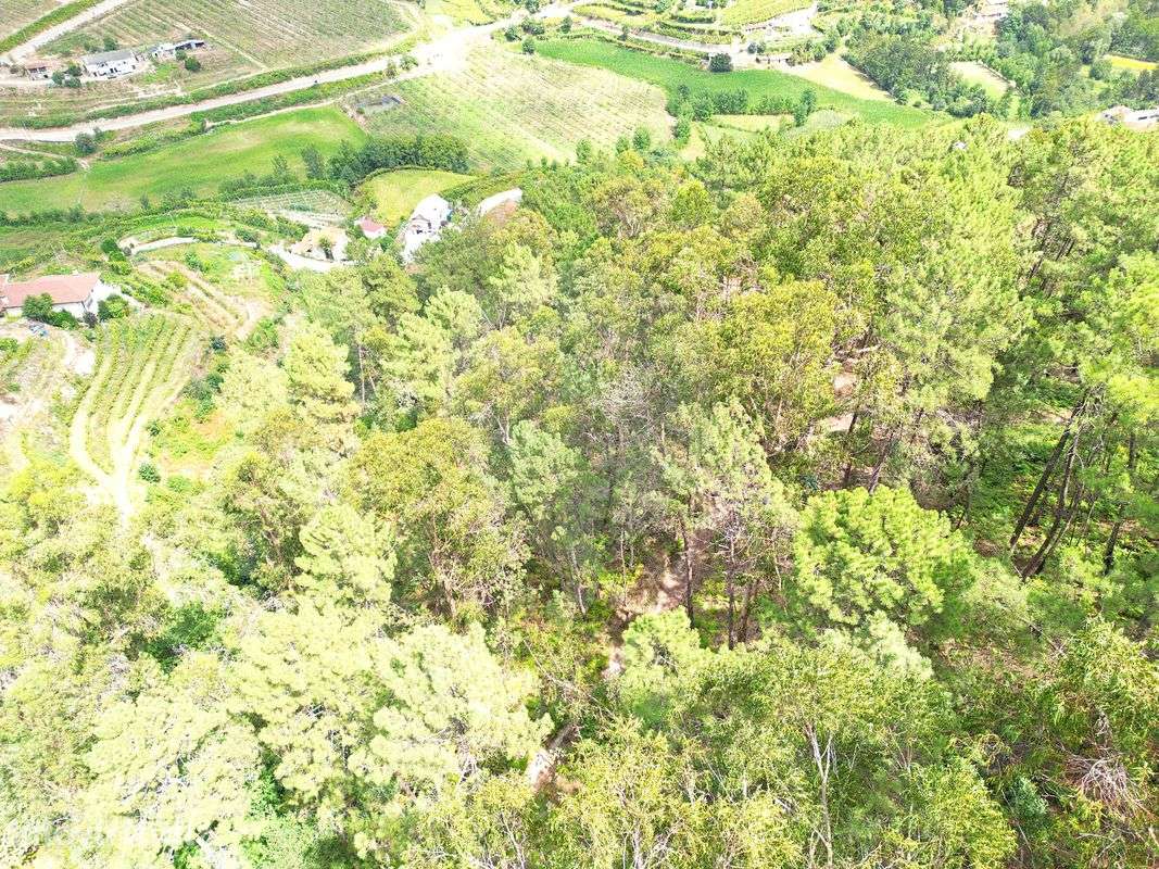 Terreno  para venda - Grande imagem: 5/5