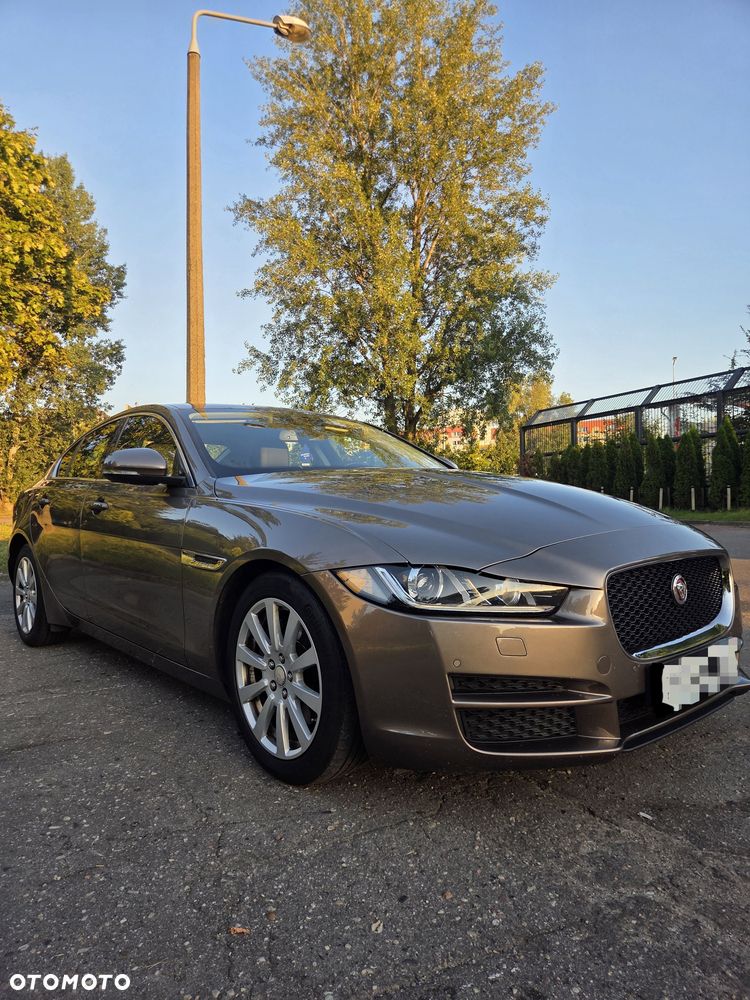 Jaguar XE - 2