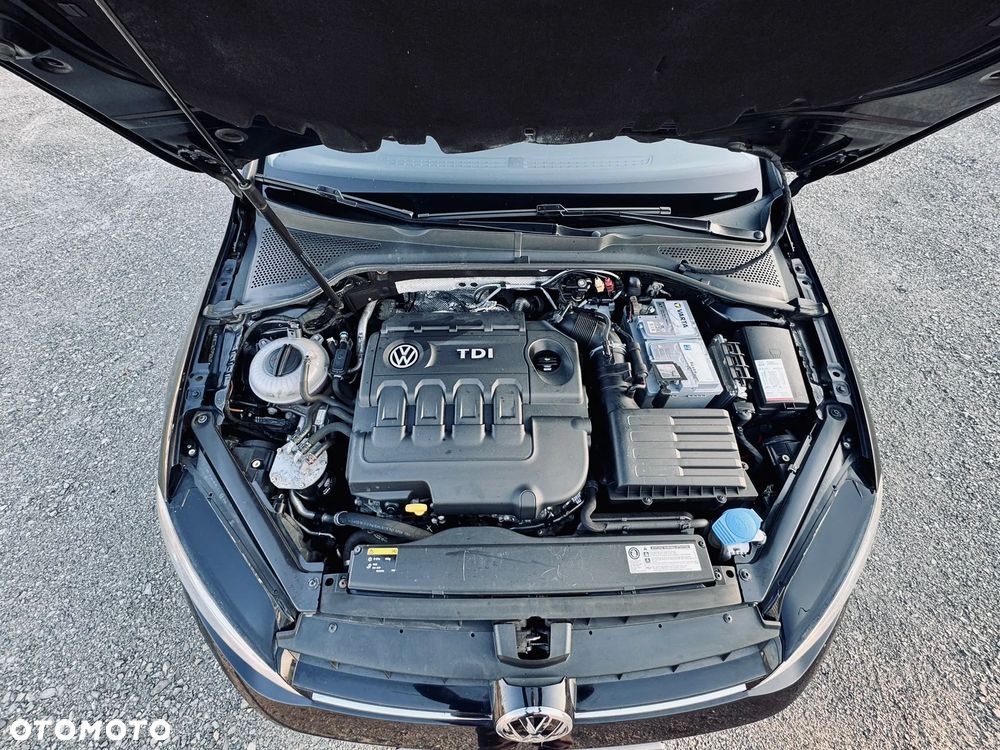 Volkswagen Golf - 11