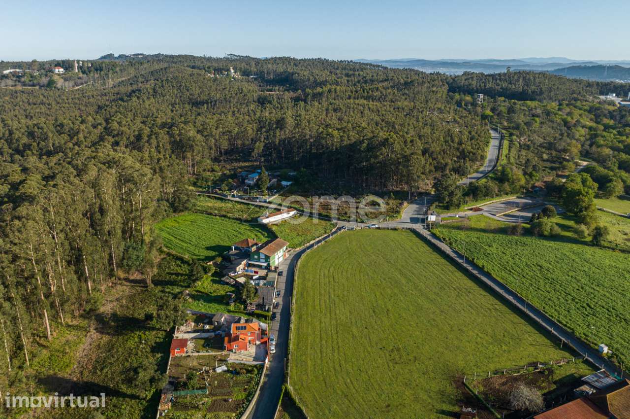 Terreno com 4200m2 em São Pedro de Avioso - Grande imagem: 3/16