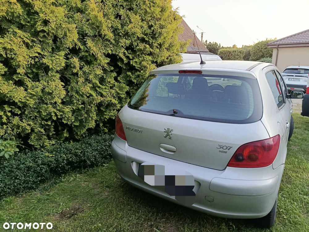 Peugeot 307 1.6 HDi - 11