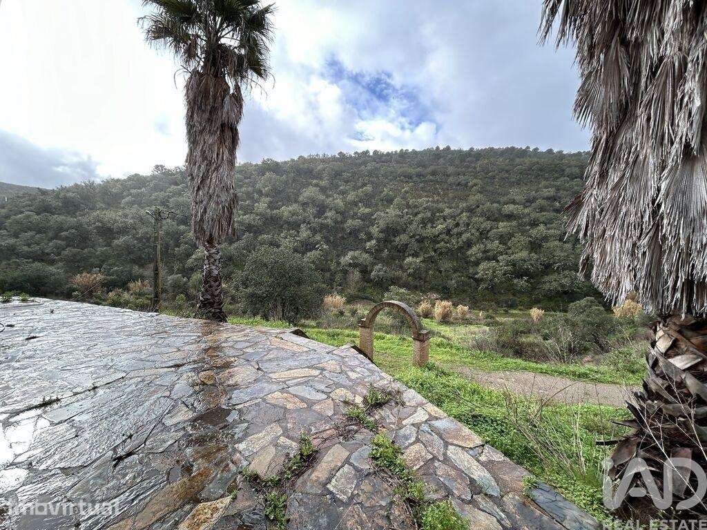 Quinta agricola em Cachopo - Grande imagem: 3/16