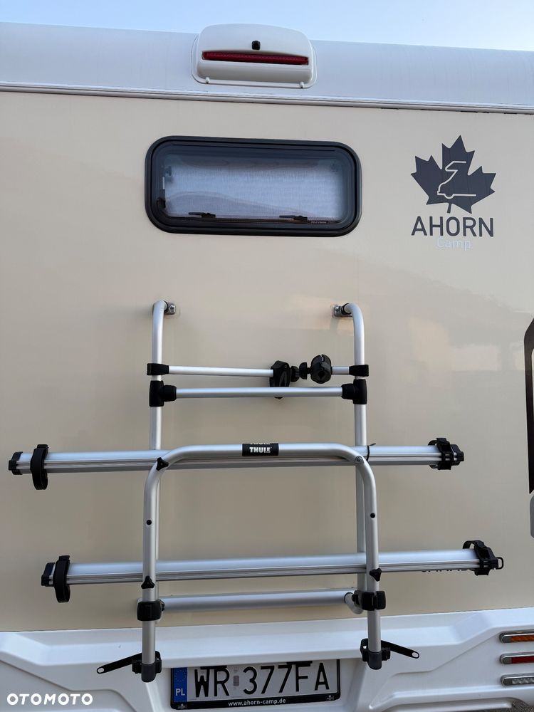 Ahorn CANADA AD - 5