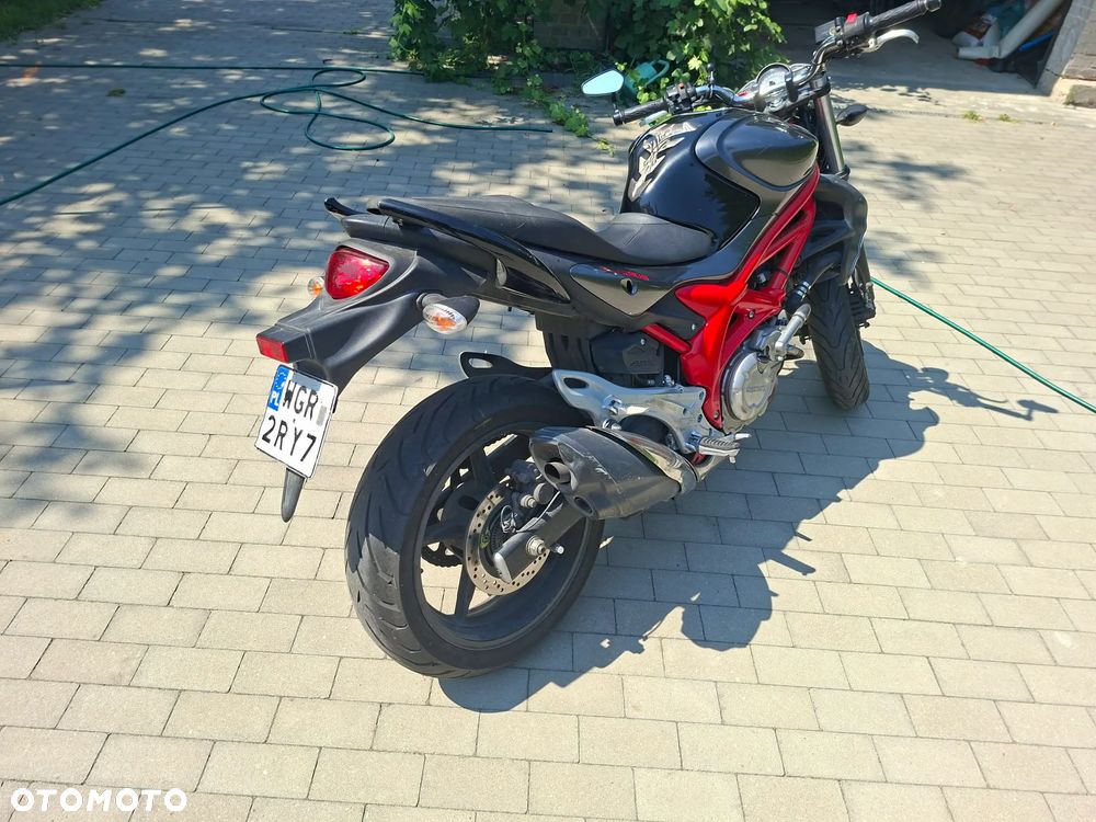 Suzuki Gladius - 3