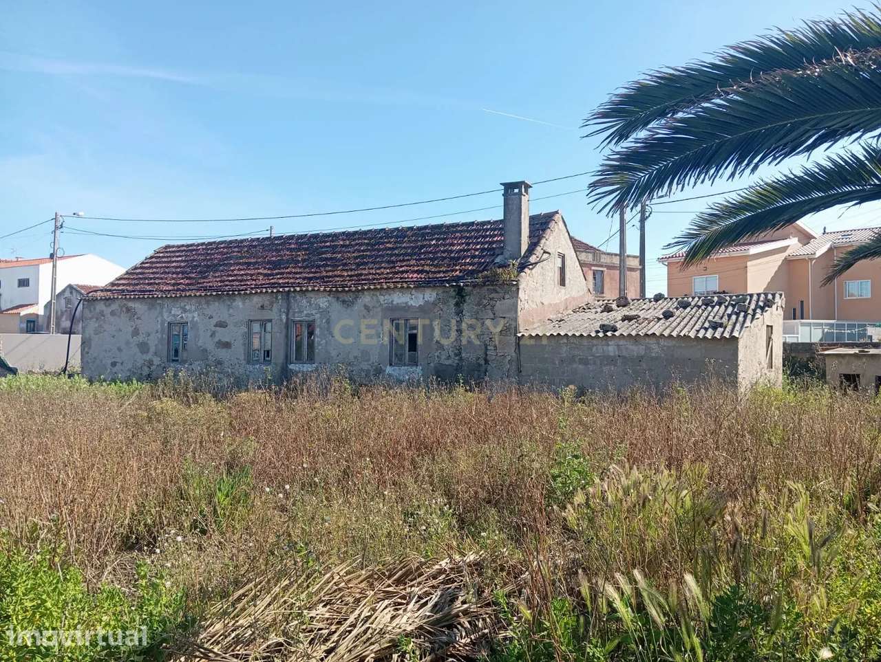 Moradia em Ruína com Excelente Potencial de Construção – Aver-o-Mar, P - Grande imagem: 3/32
