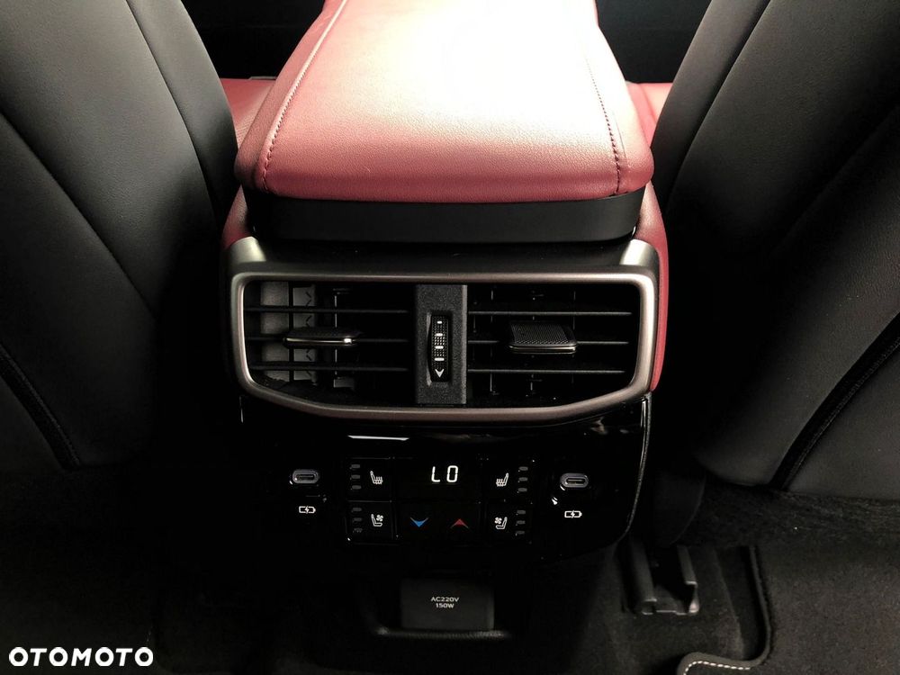 Lexus RX - 20