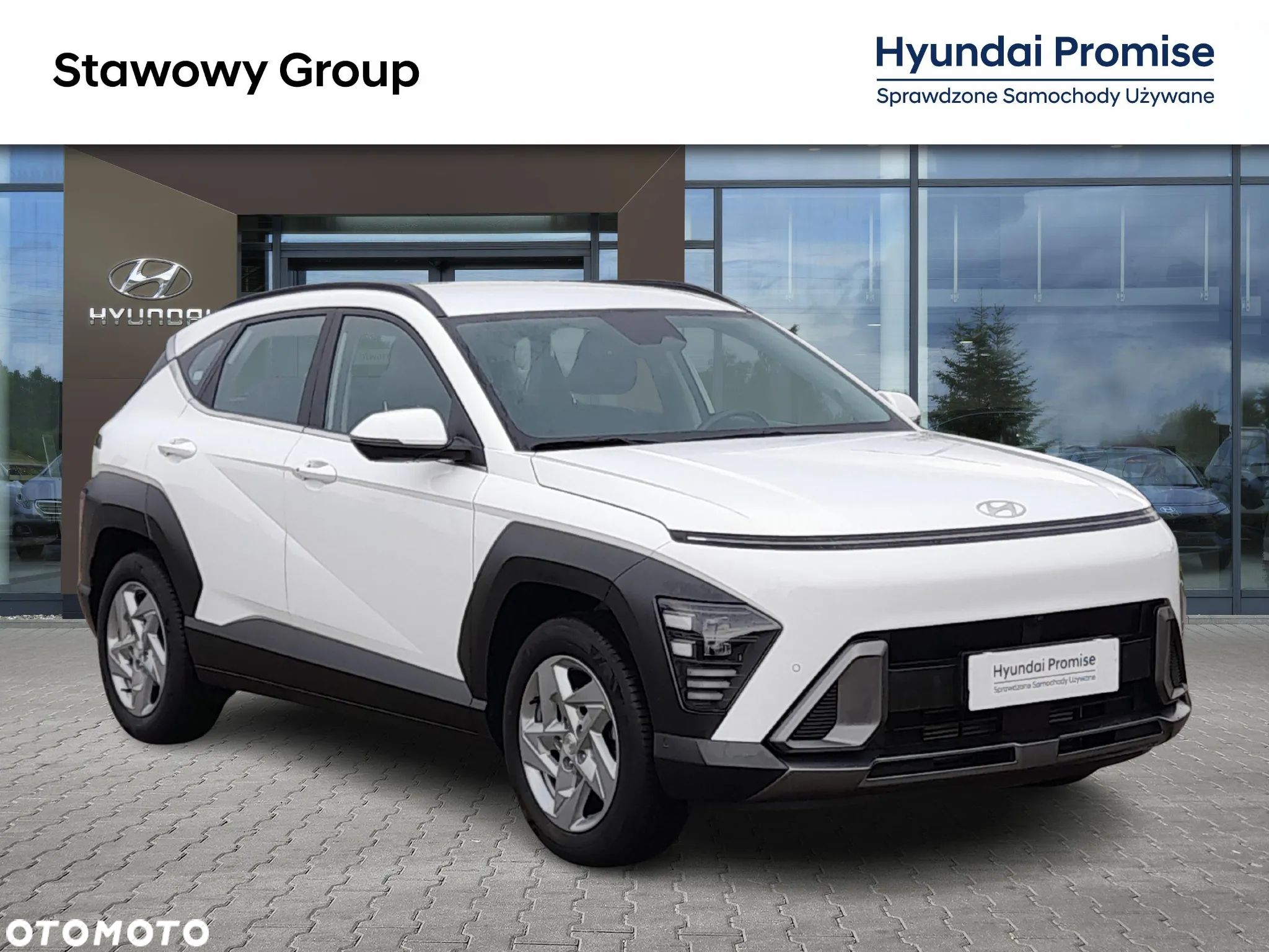 Hyundai Kona 1.0 T-GDI Executive DCT - 8