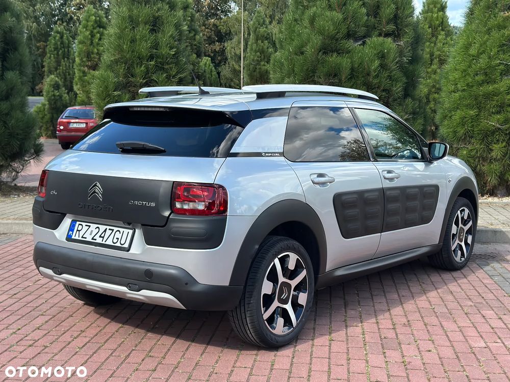 Citroën C4 Cactus Pure Tech 110 Stop&Start Rip Curl - 7