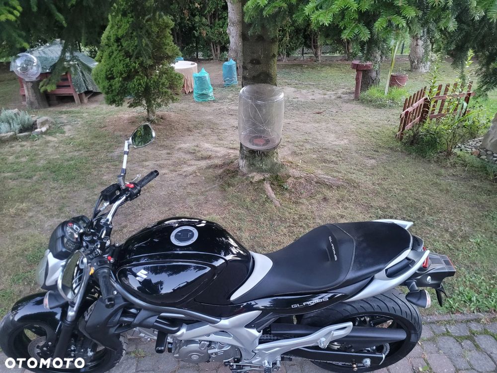 Suzuki Gladius - 31