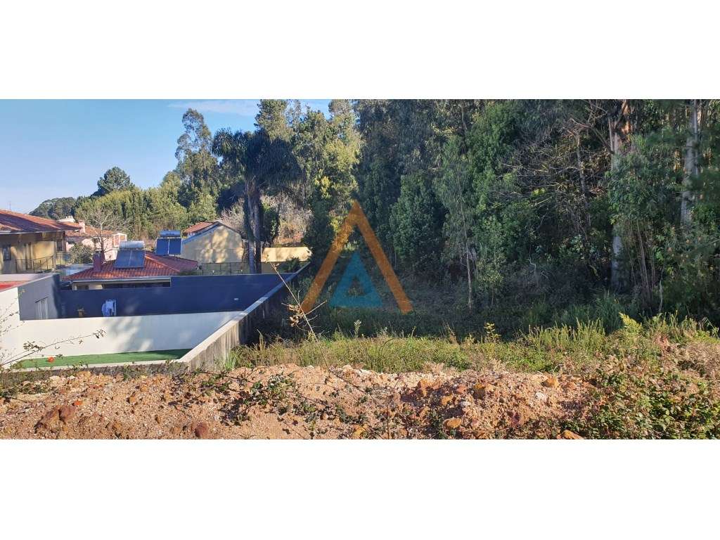 ESTE É O TERRENO QUE PROCURA - Grande imagem: 3/6