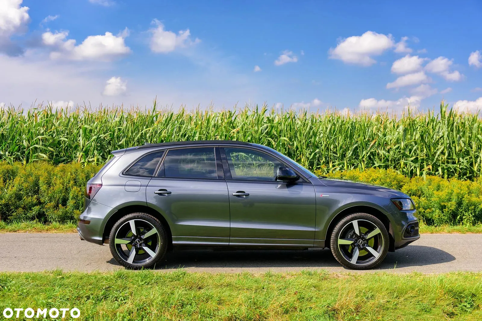 Audi SQ5 3.0 TFSI Quattro Tiptronic - 7