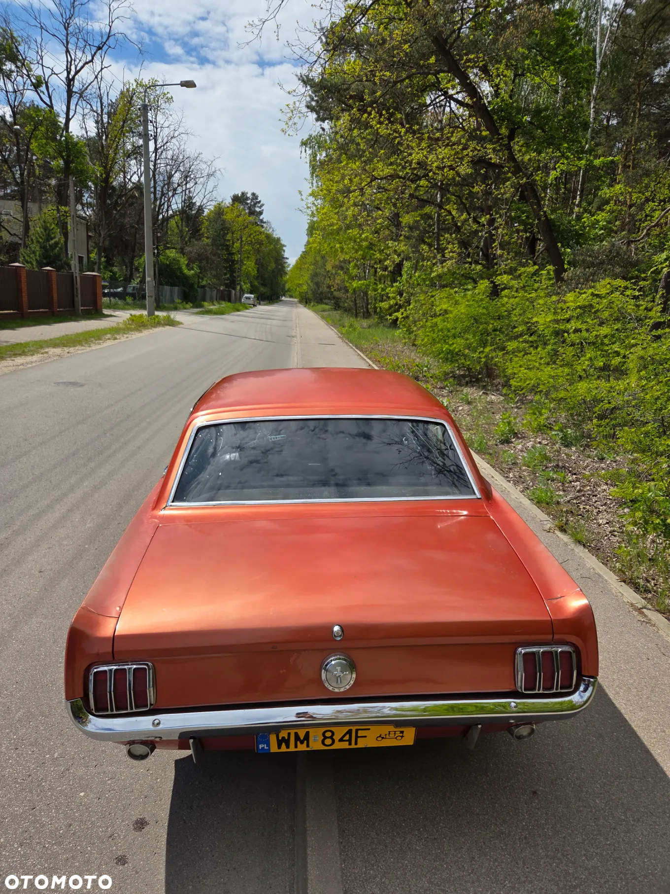 Ford Mustang - 8