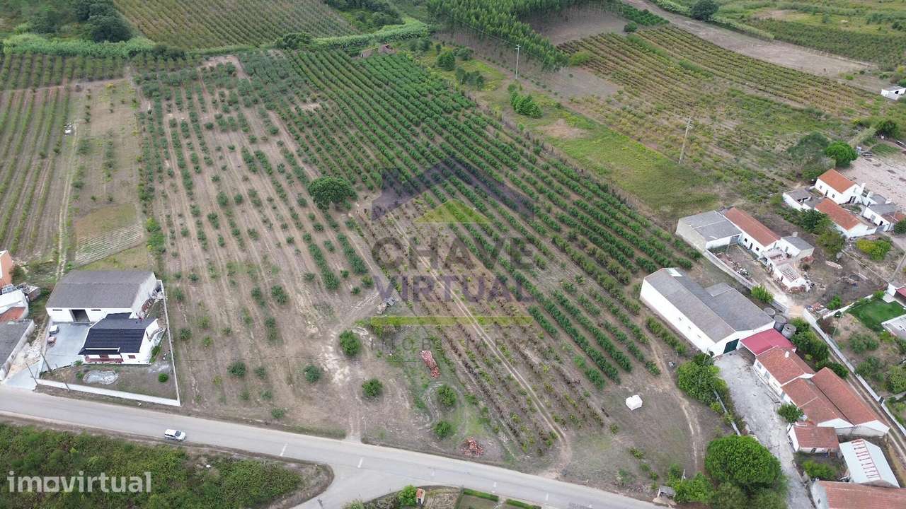 Terreno Rústico Construtível c/ 7.859 m2 Carvalhal - Bombarral - Grande imagem: 4/15