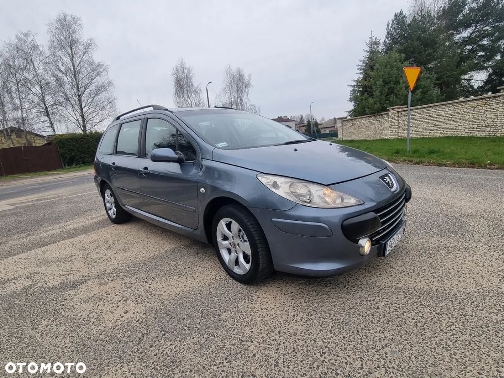 Peugeot 307 1.6 Trendy (klm) - 10
