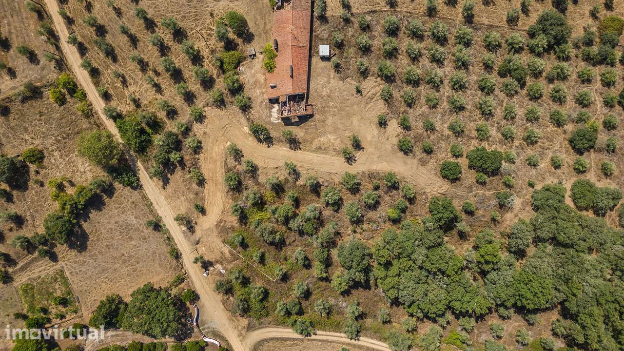 HERDADE COM 5,9 HECTARES, MORADIA E CAVALARIÇA | SANTIAGO DO ESCOURAL - Grande imagem: 3/36