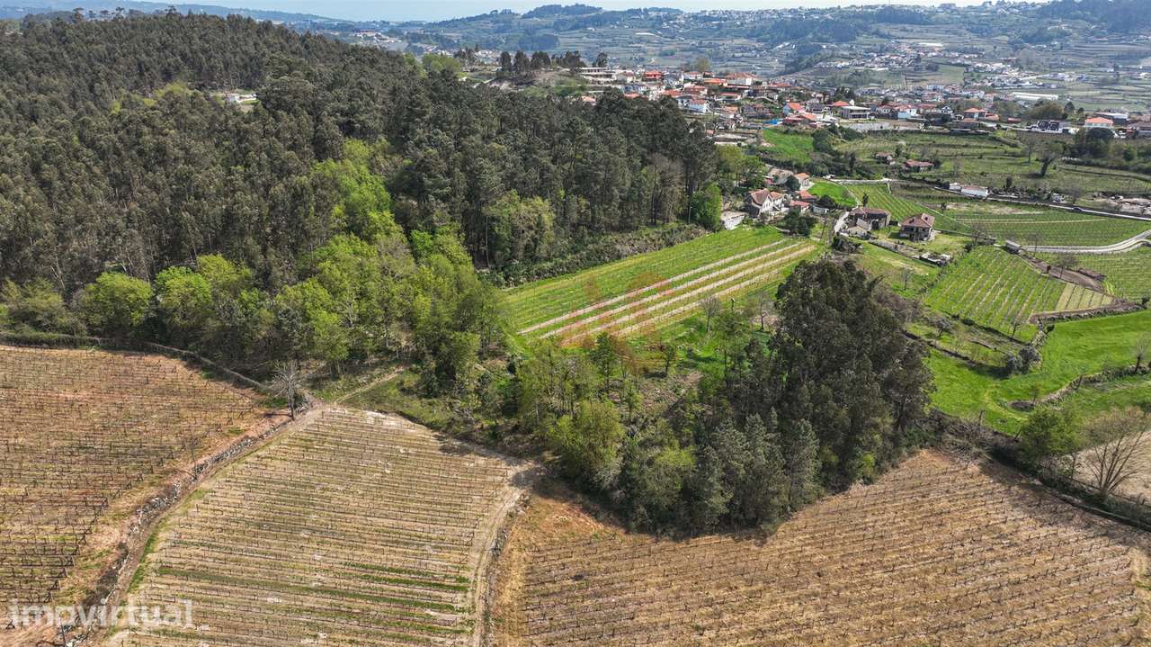 Terreno com 3.300 m² em Pedreira, Rande e Sernande, Felgueiras - Grande imagem: 3/13