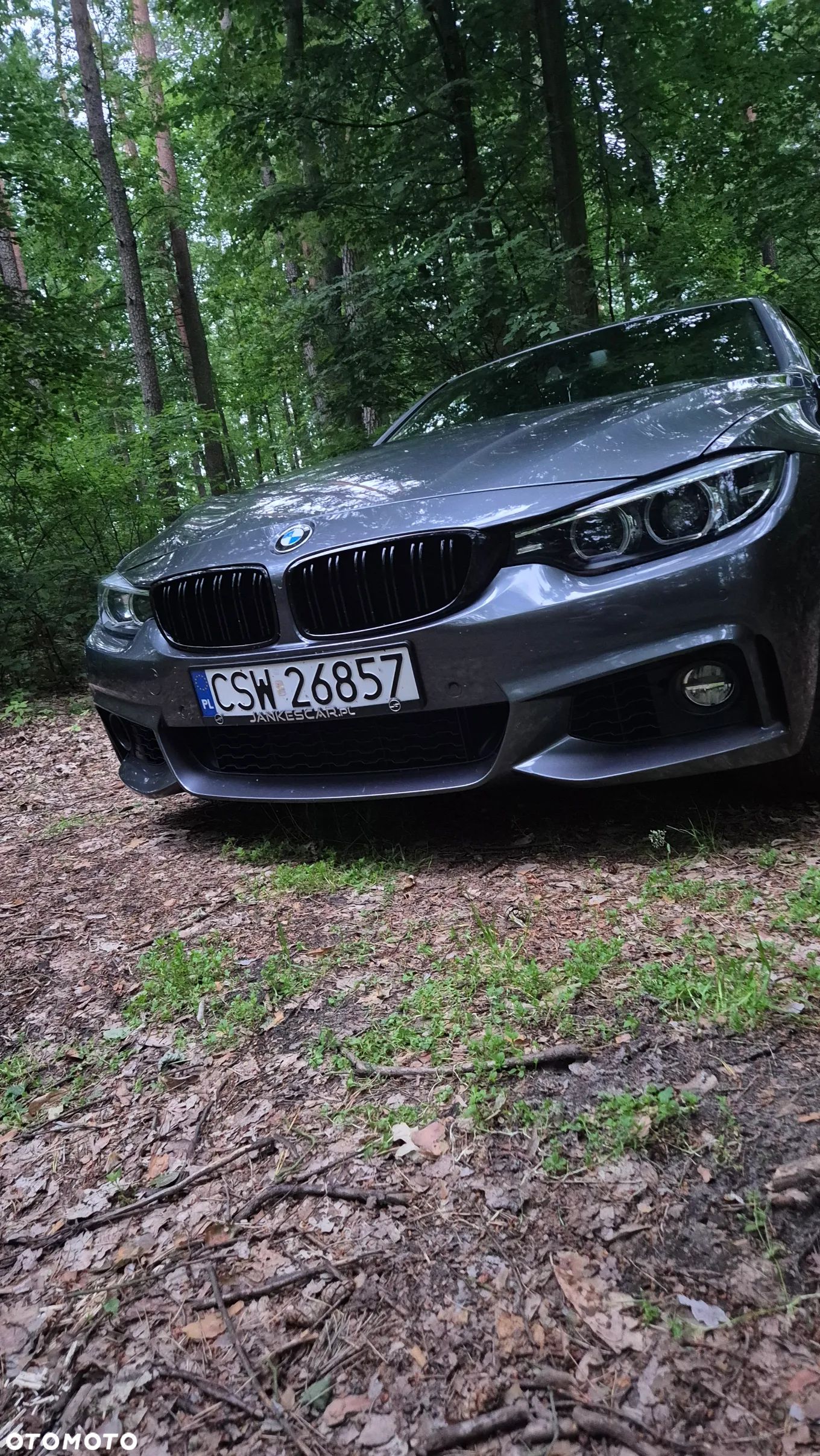 BMW Seria 4 430i - 1