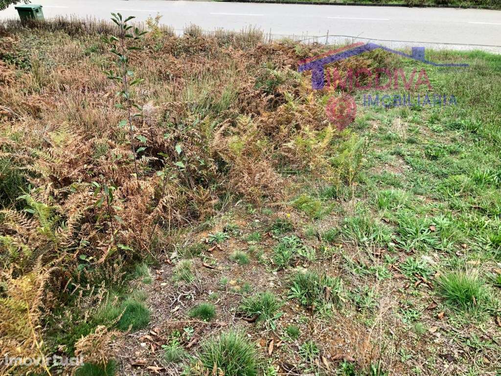 Terreno rústico com viabilidade de construção em Castanheira de Pera - Grande imagem: 3/10