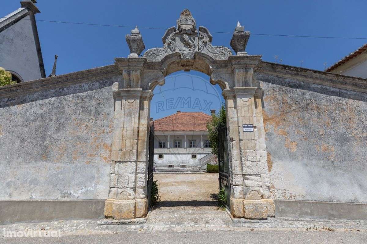 Solar T13 para venda - Grande imagem: 3/48