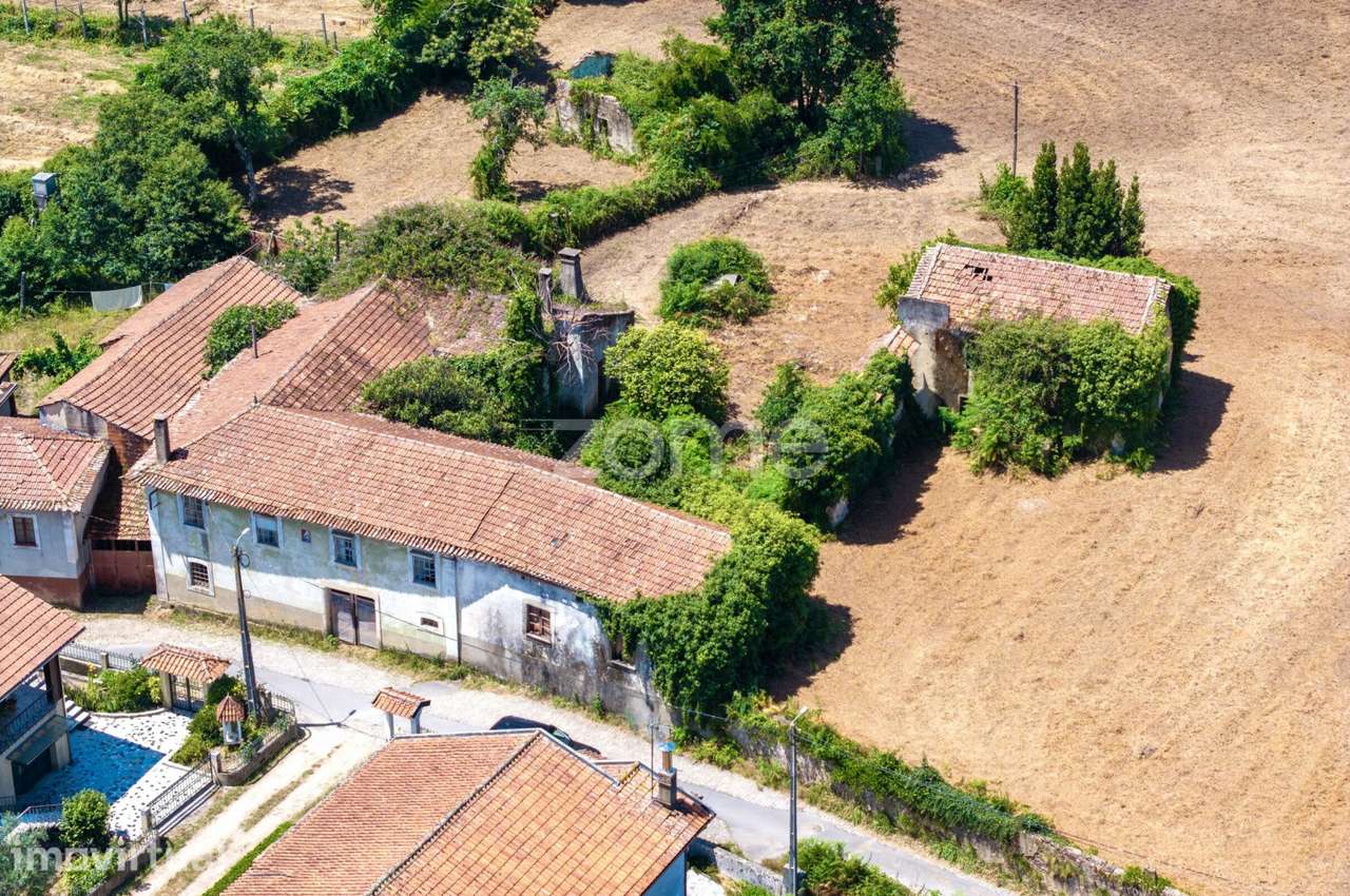 Quinta para Investimento | junto ao Rio Caima | Ossela OAZ - Grande imagem: 5/19