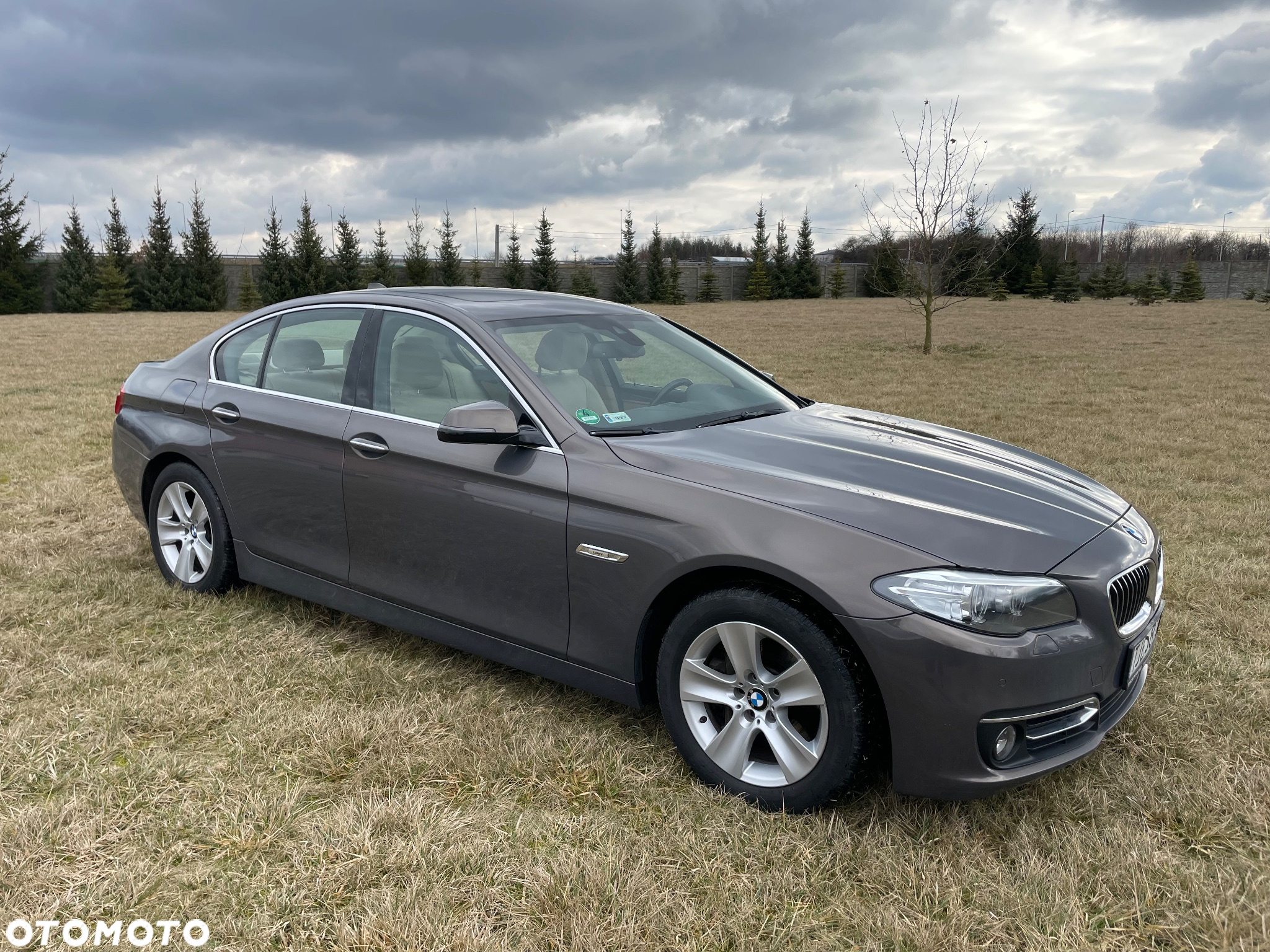 BMW Seria 5 530d xDrive Luxury Line - 3