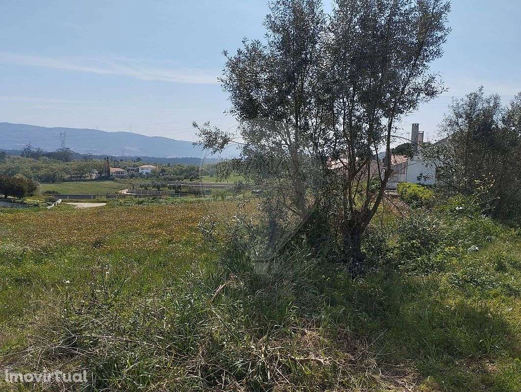 Terreno  para venda - Grande imagem: 5/12