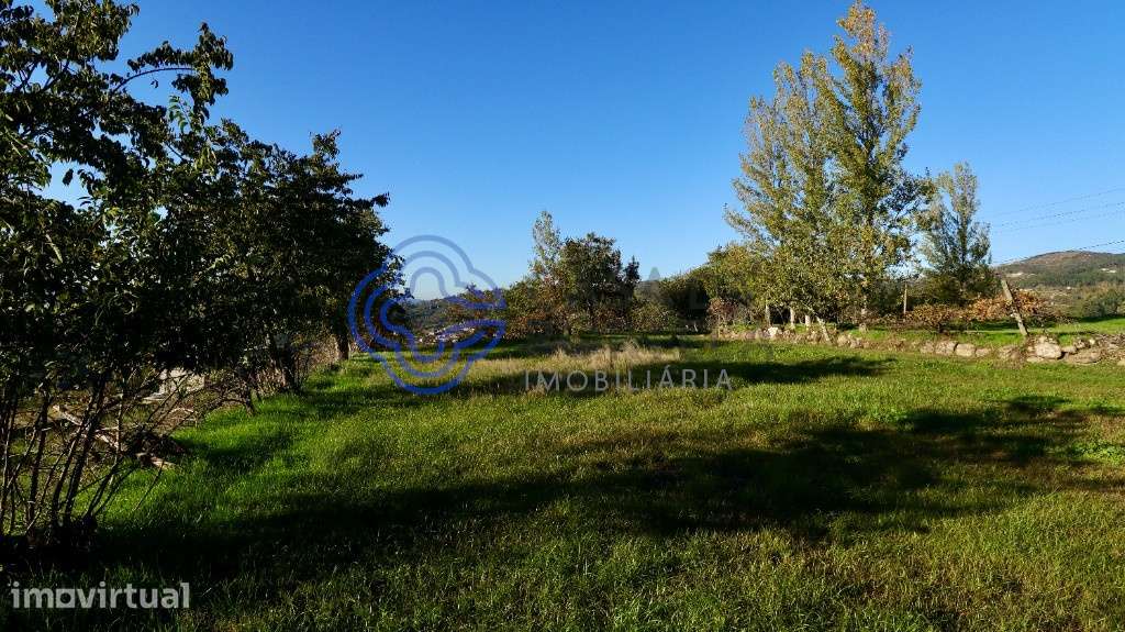 Terreno Agrícola em Telhe - Soalhães - Marco de Canaveses - Grande imagem: 2/10