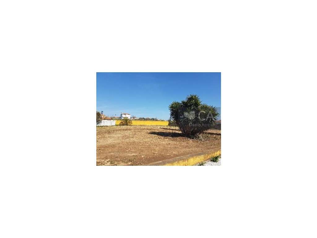 Moradia T5 restaurada com terraço e terreno - Grande imagem: 3/10