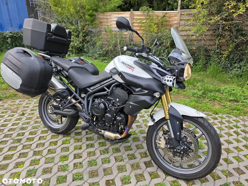 Triumph Tiger - 10