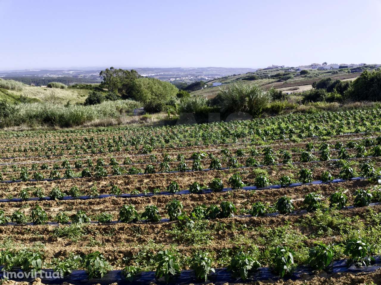 Terreno com Viabilidade de Construção - Grande imagem: 4/9