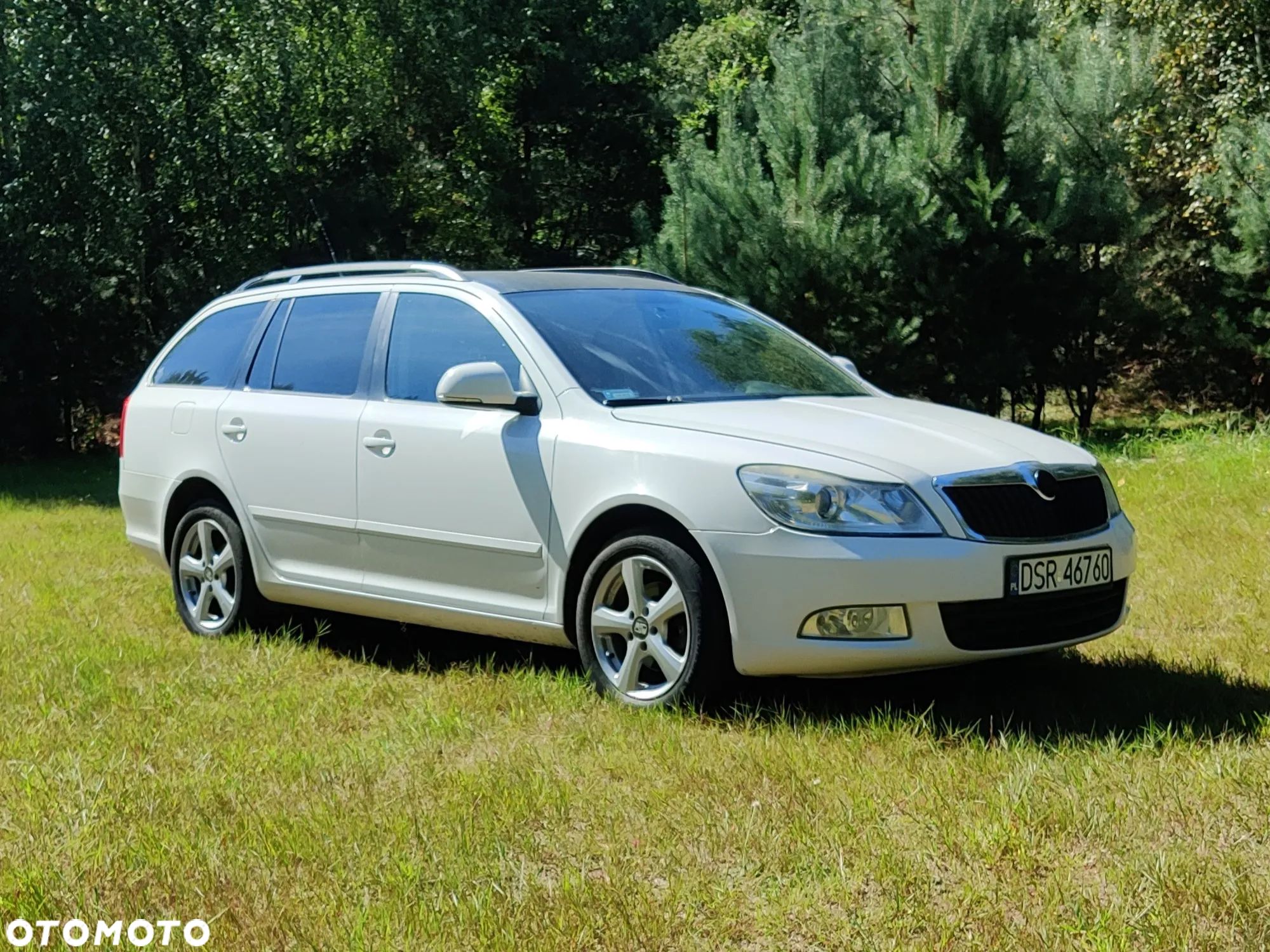 Skoda Octavia 1.9 TDI Elegance DSG - 1