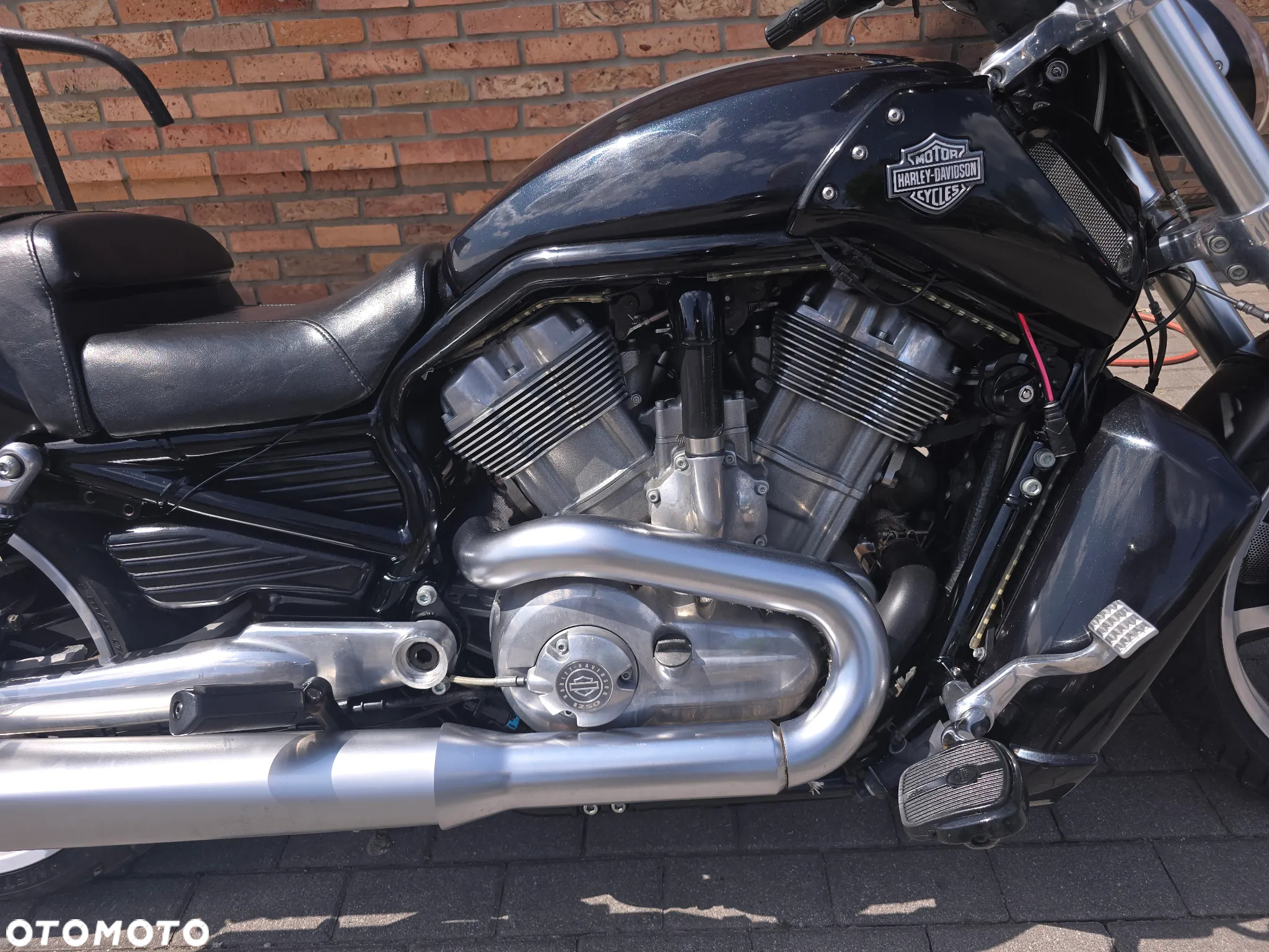 Harley-Davidson V-Rod Muscle - 20
